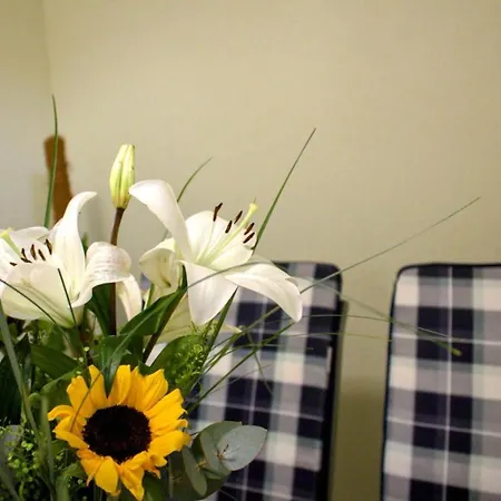 Danijela Apartamento *