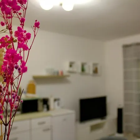 Danijela Apartament *