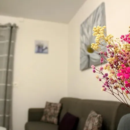 Danijela Apartamento