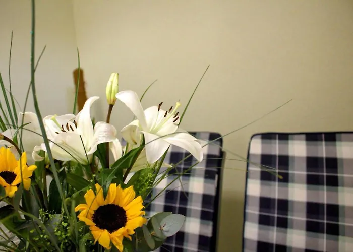 Danijela Appartement *